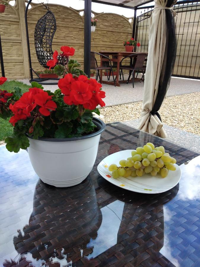 Hotel Casa Eugenia à Vama Veche Extérieur photo